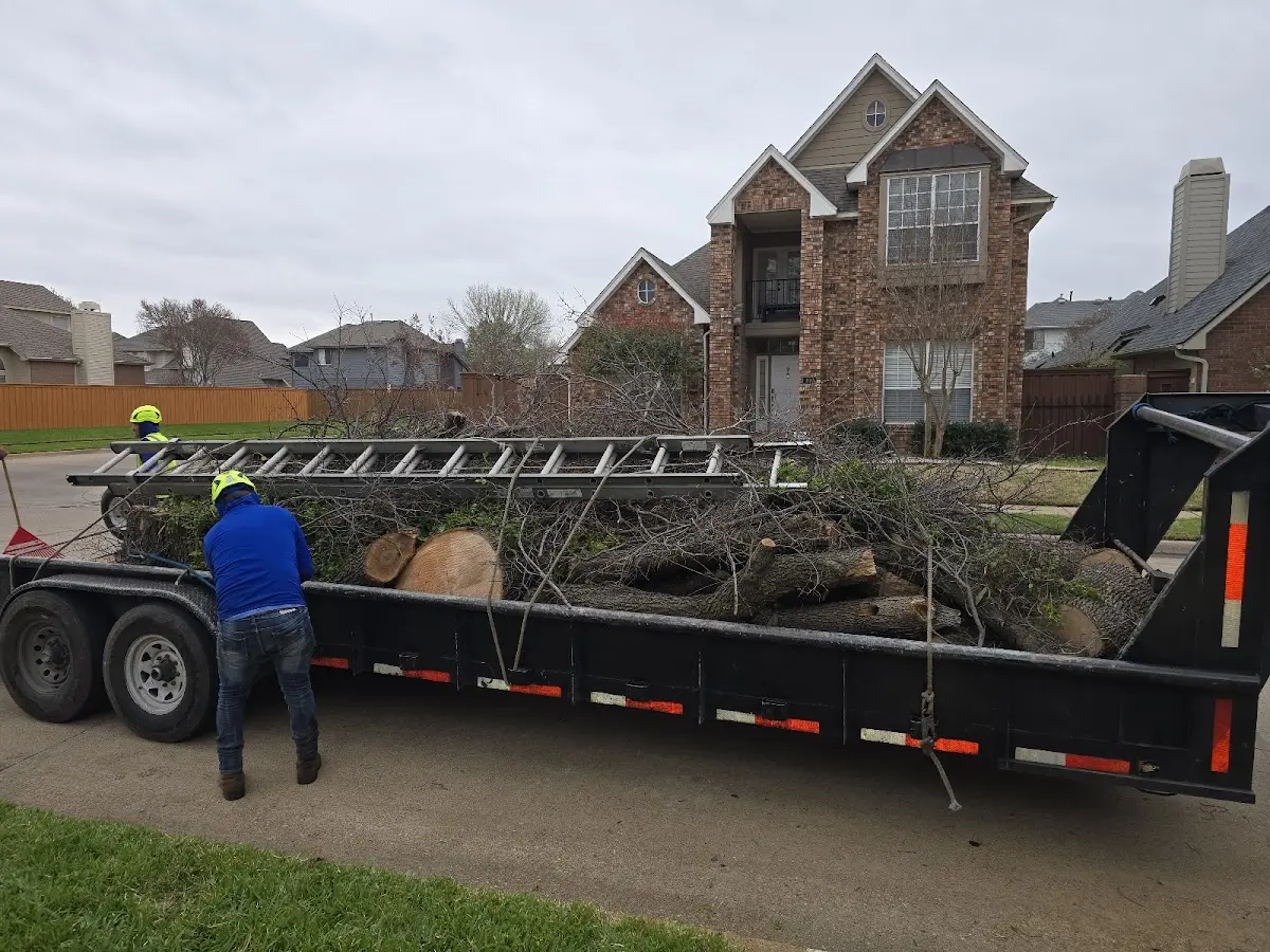 Expert Lot Clearing with proper safety equipment in Thornton